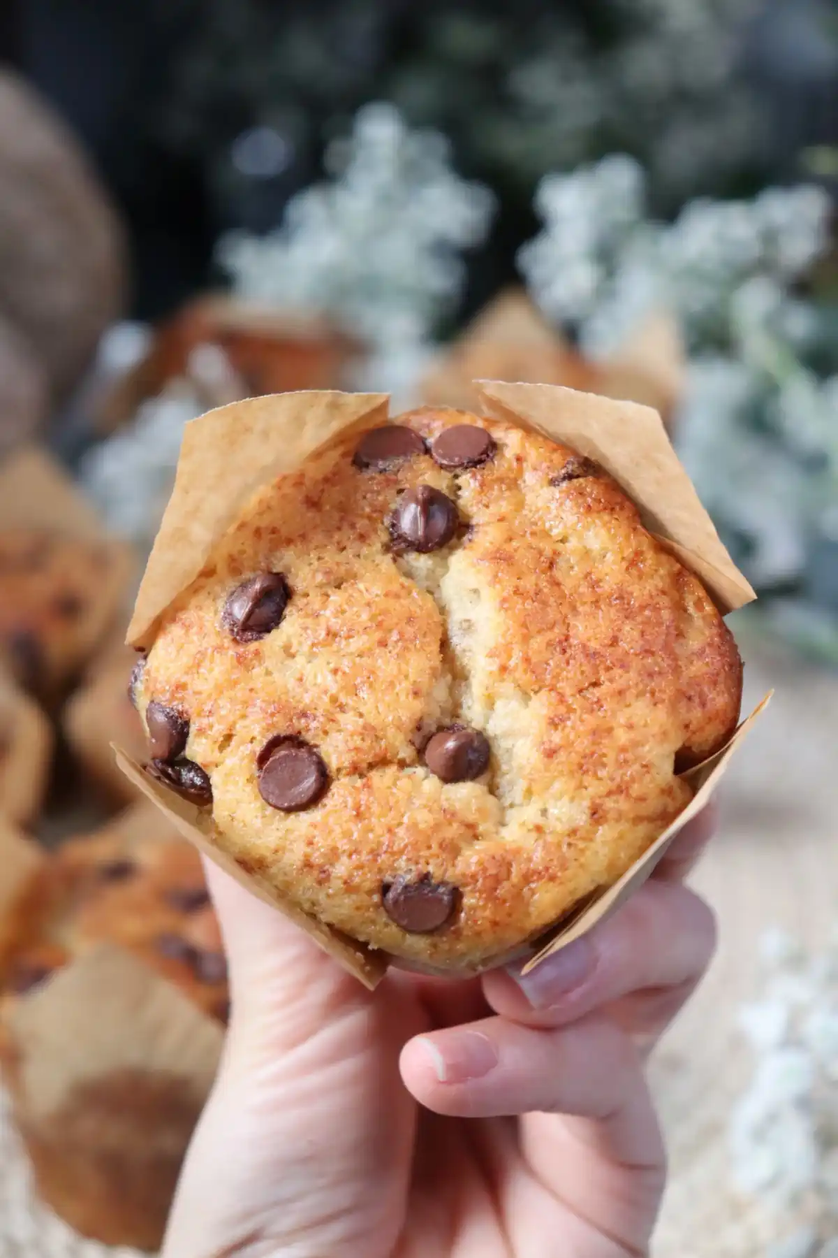 romisbakes recipe Banana muffins