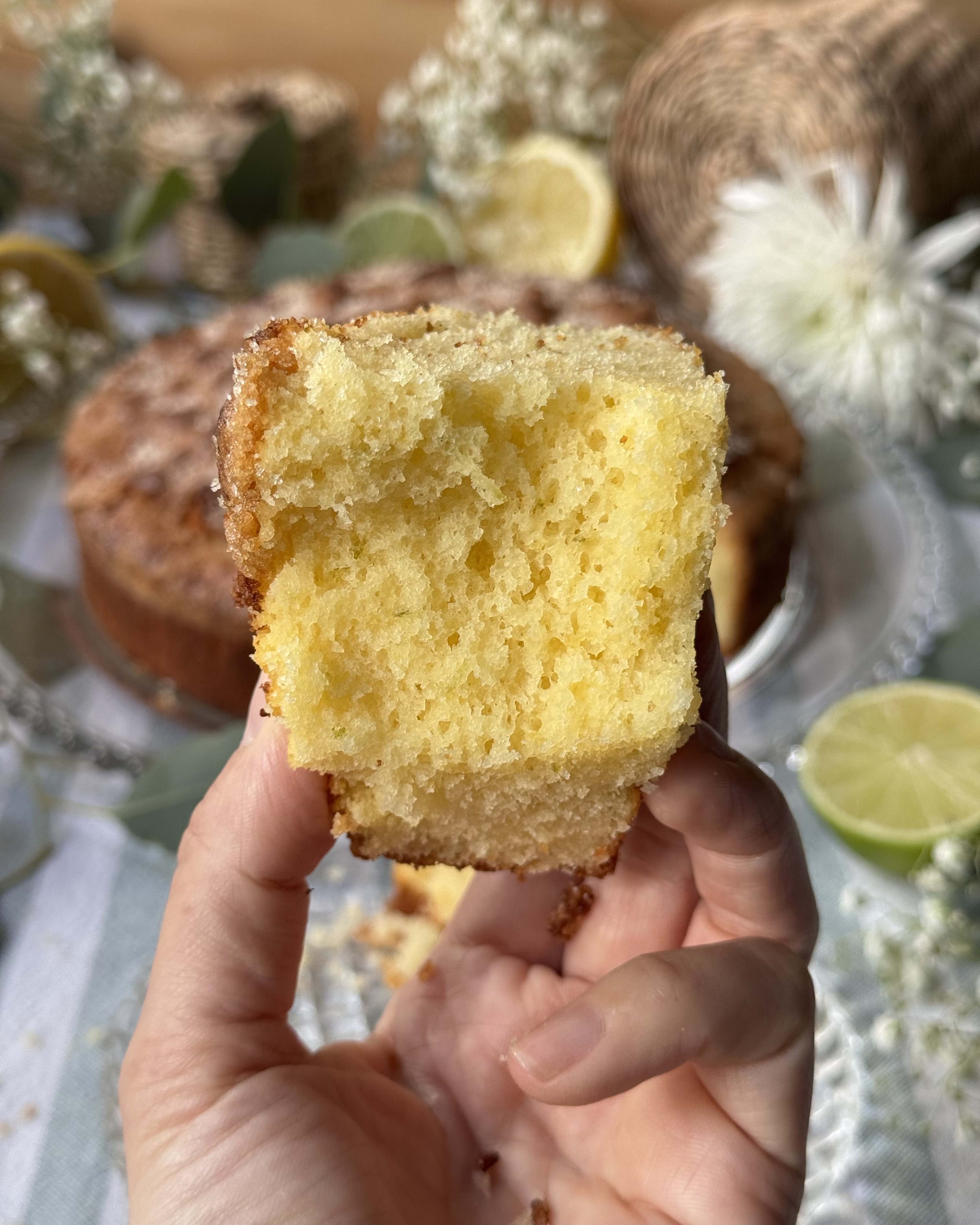 romisbakes recipe Lemon lime cake