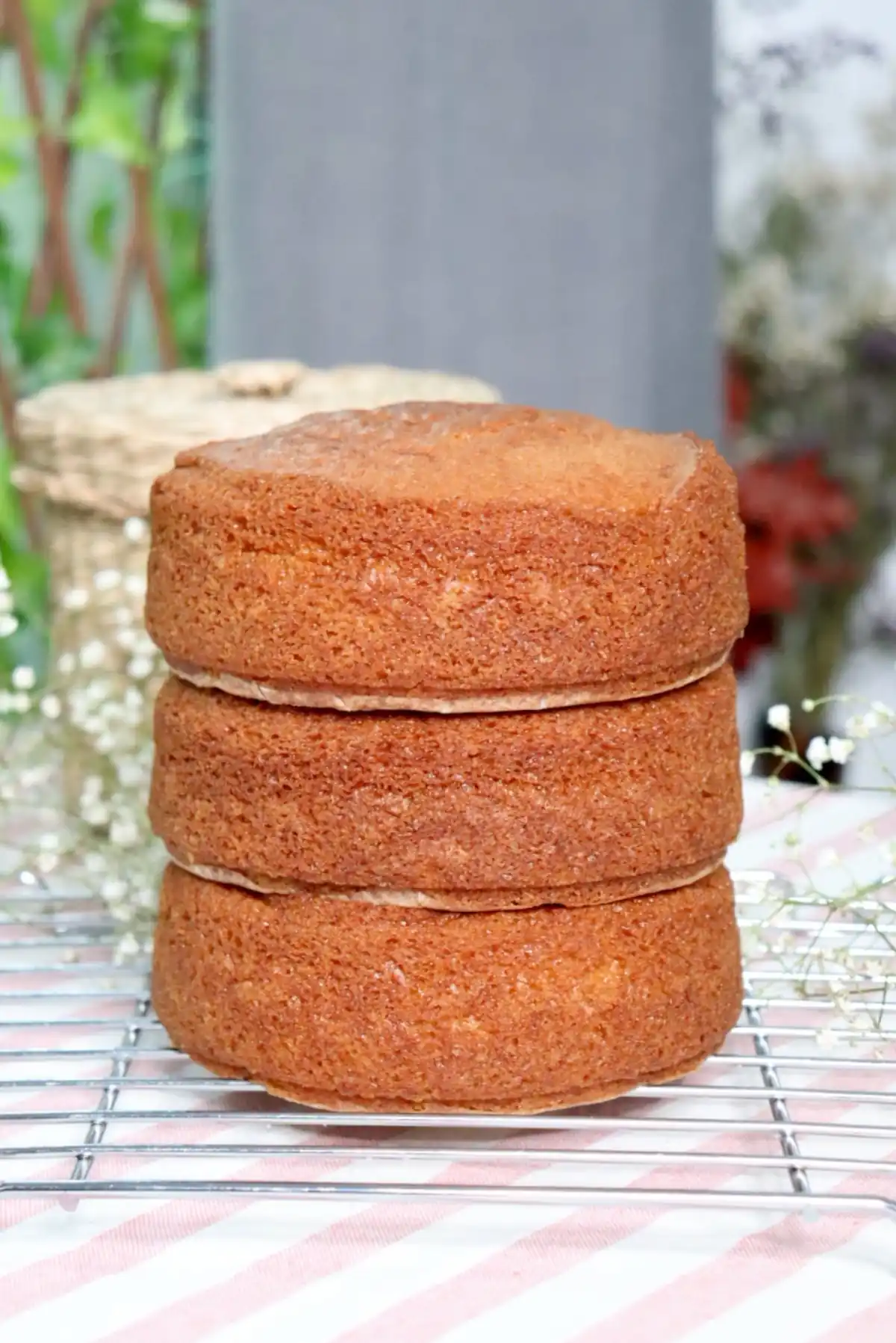 romisbakes recipe Lactose-free vanilla & strawberry cake