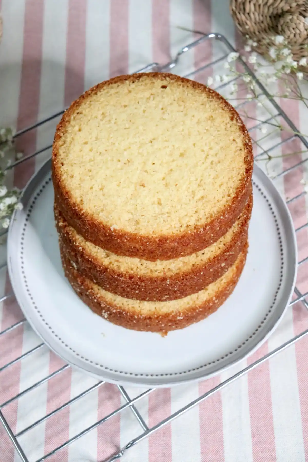 romisbakes recipe Lactose-free vanilla & strawberry cake