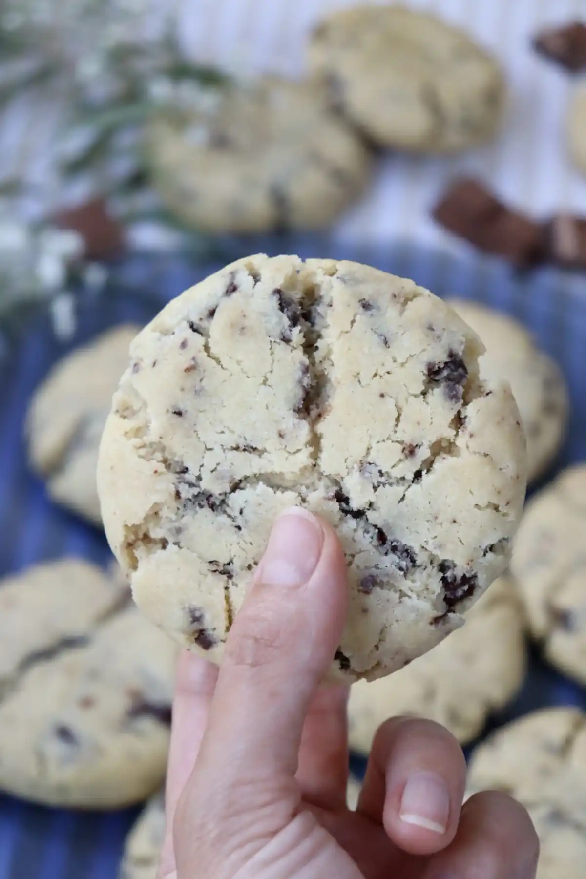 romisbakes recipe Vegan chocolate chip cookies